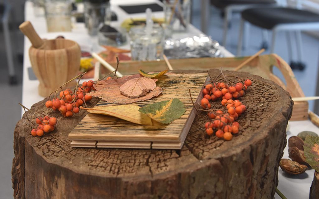 narea-sc-albuquerque-atelier-session8